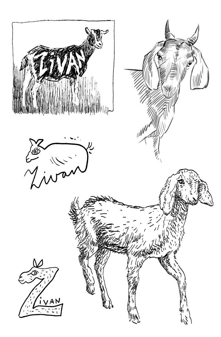 Beispielinhalt (Bild) Ohne Dich