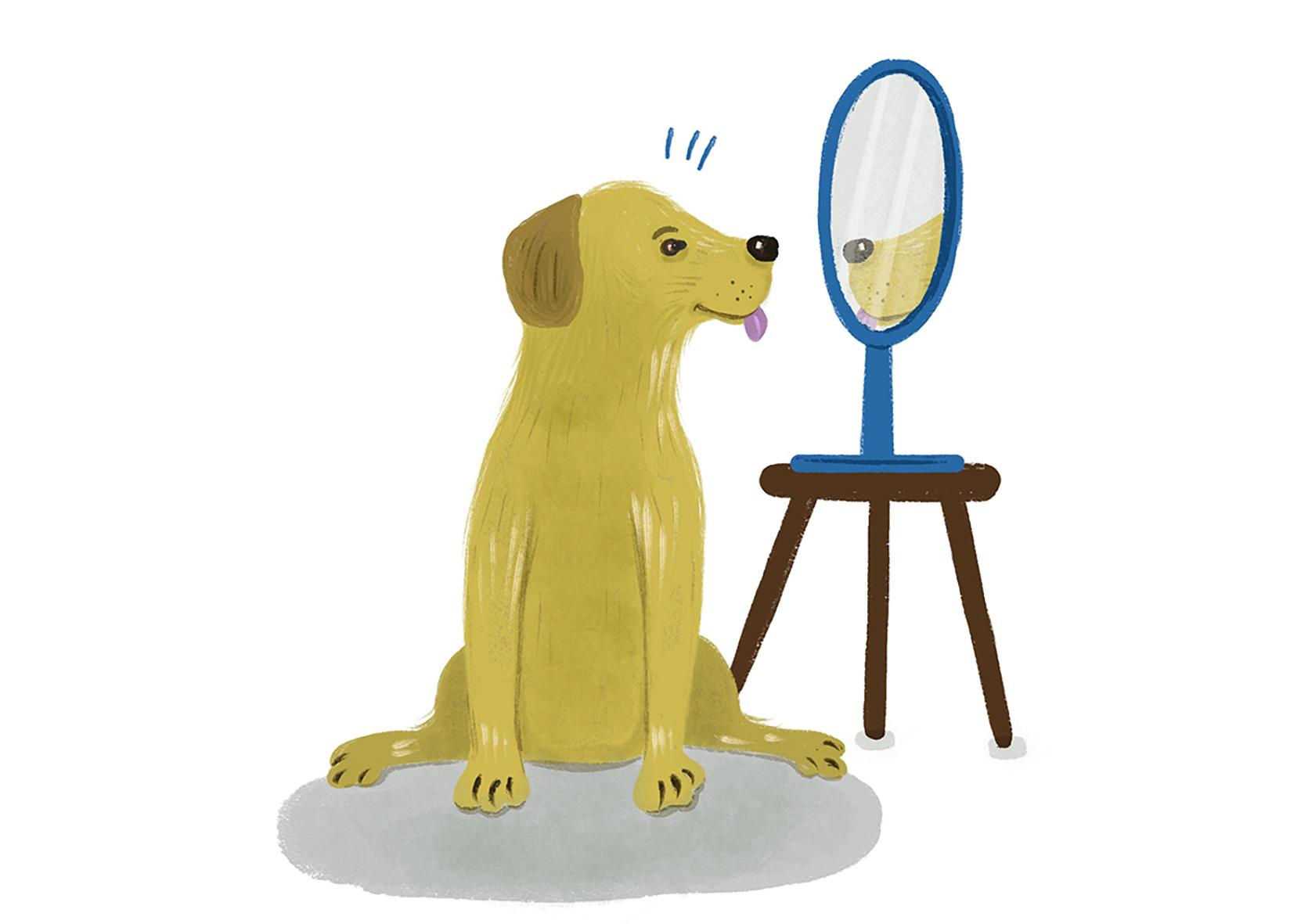 Beispielinhalt (Bild) Was wir von Tieren lernen können