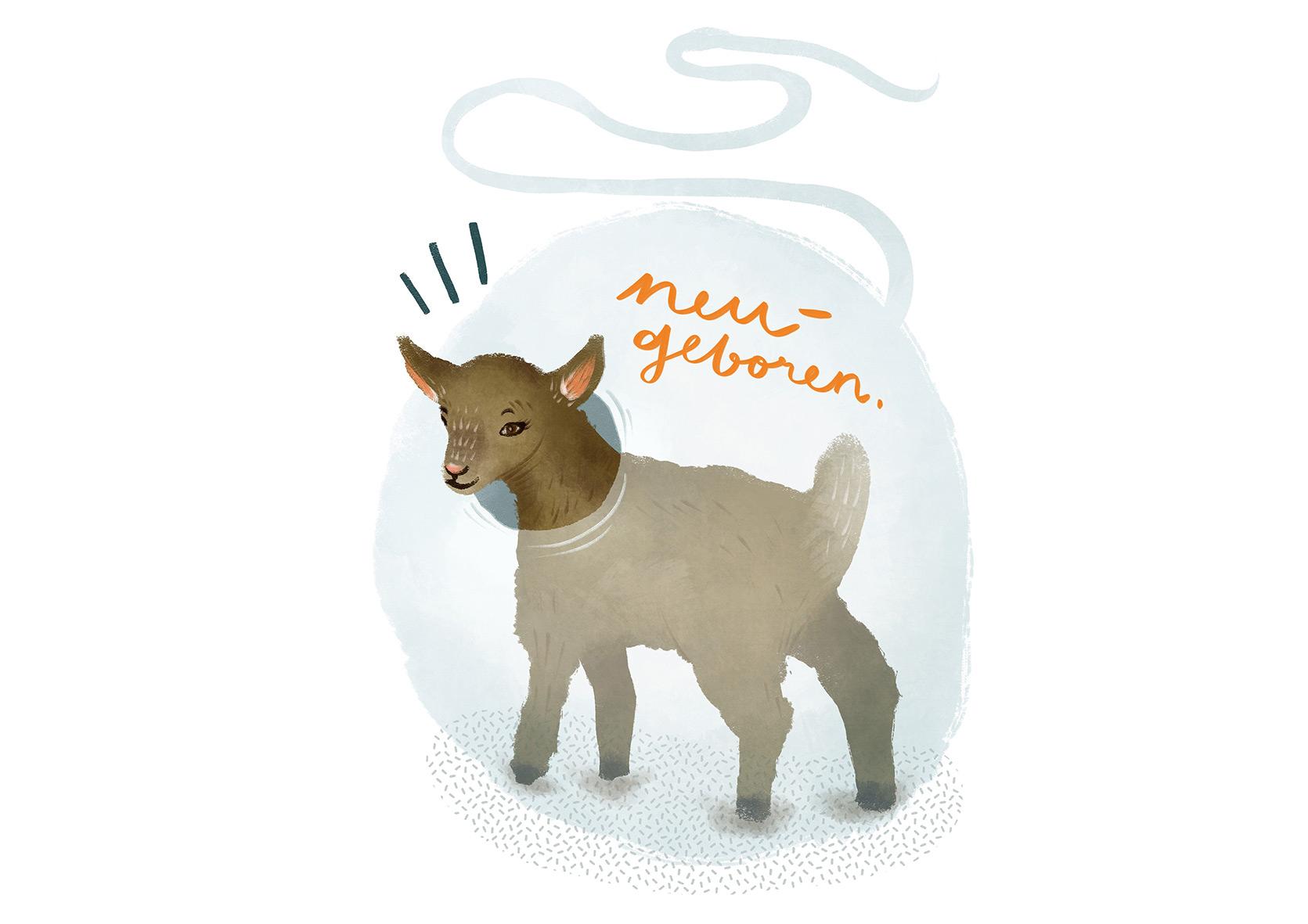 Beispielinhalt (Bild) Was wir von Tieren lernen können