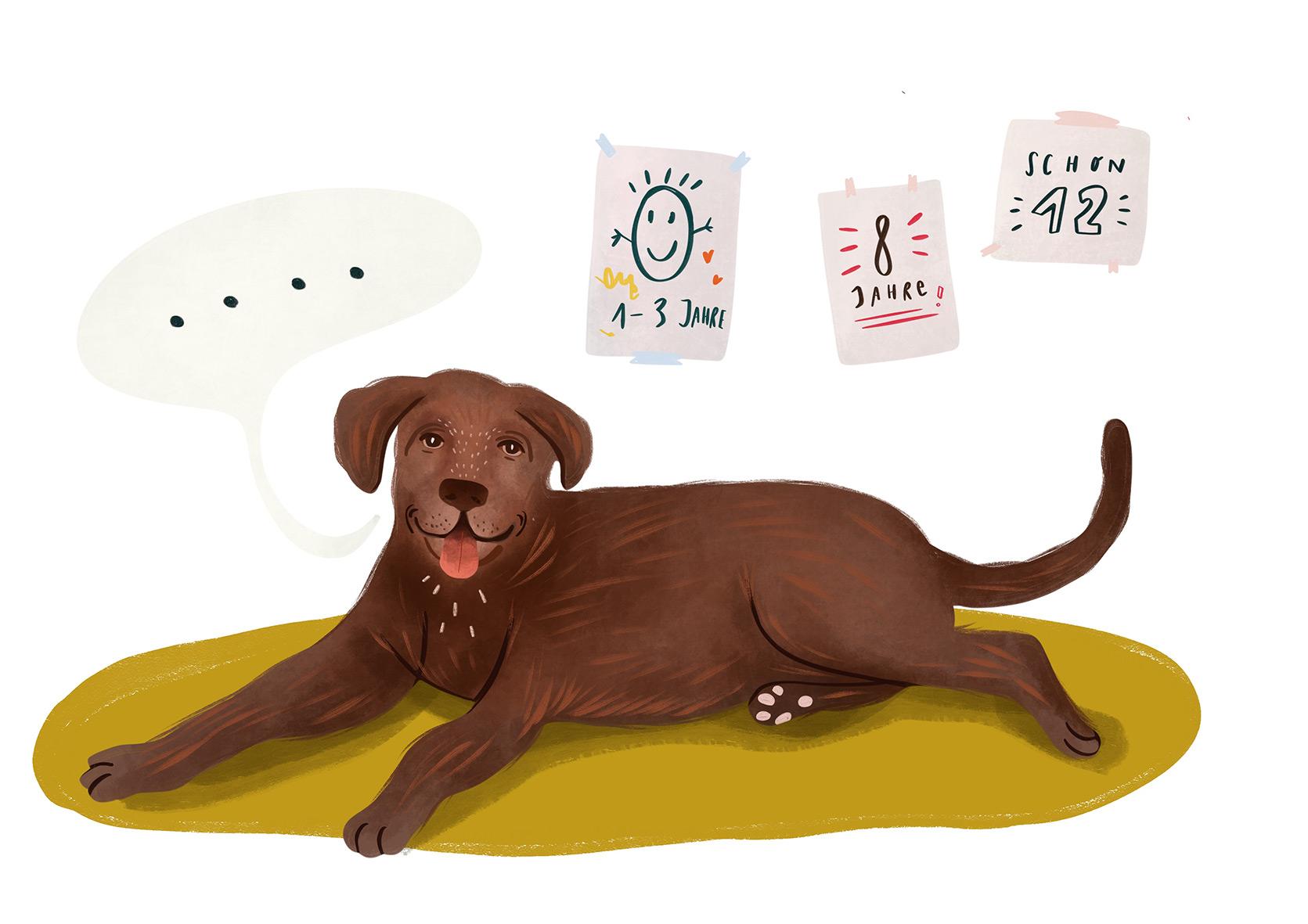 Beispielinhalt (Bild) Was wir von Tieren lernen können