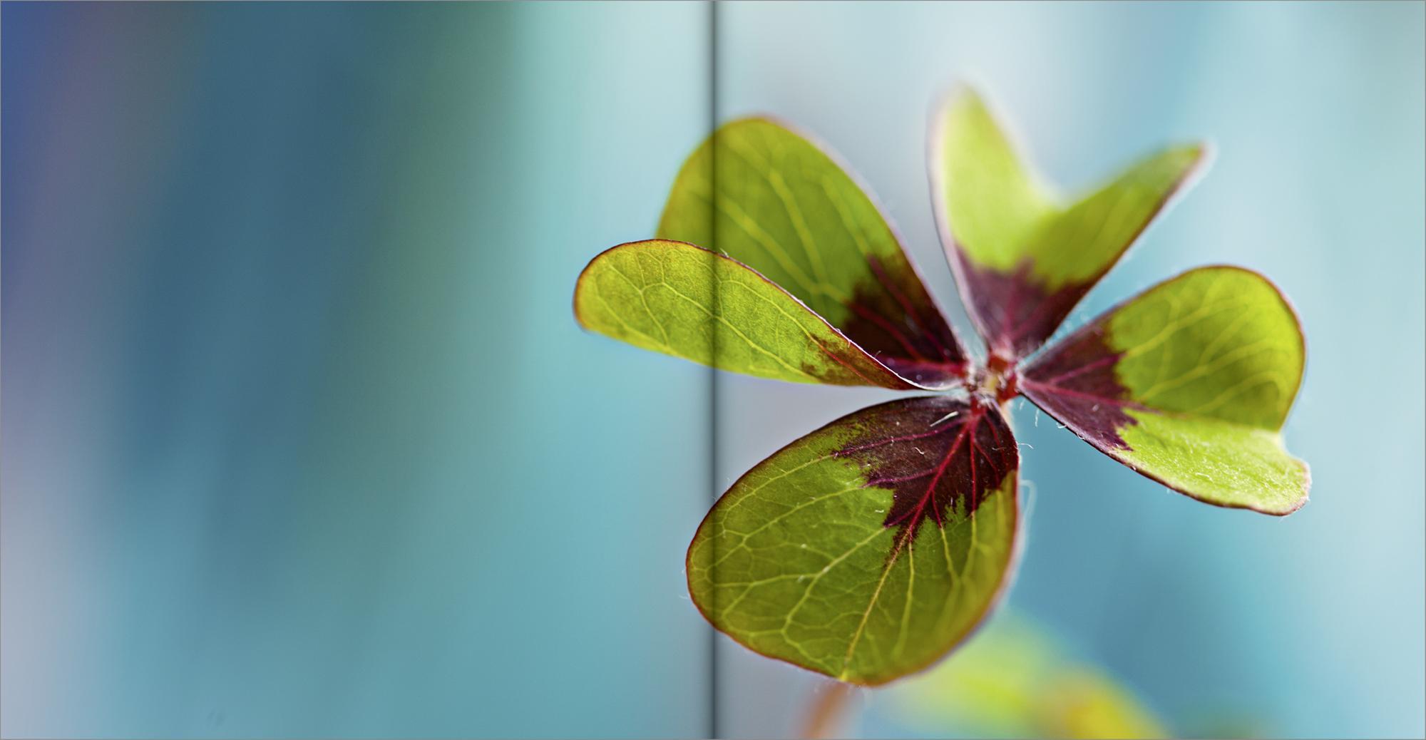 Beispielinhalt (Bild) Herzlichen Glückwunsch zum Geburtstag