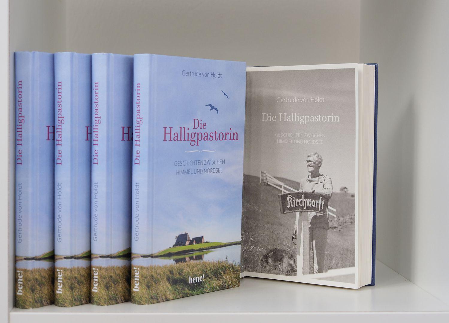 Beispielinhalt (Bild) Die Halligpastorin