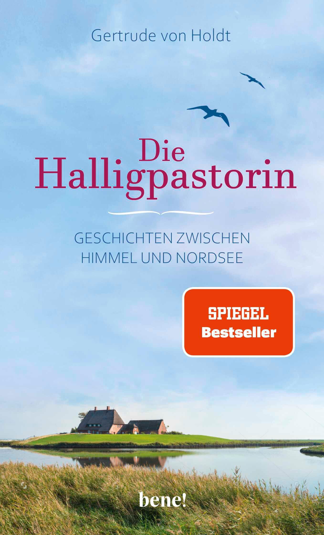 Vorderes Coverbild Die Halligpastorin