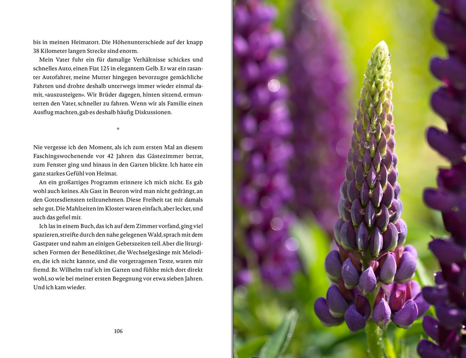 Beispielinhalt (Bild) Das Glück wächst im Garten