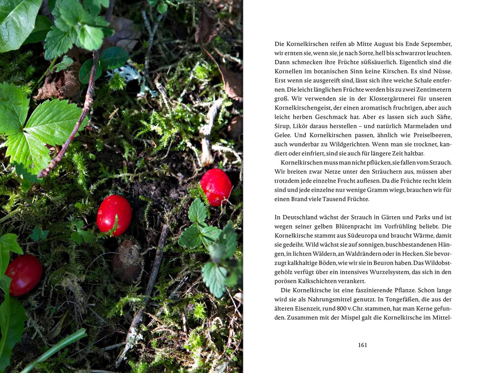 Beispielinhalt (Bild) Das Glück wächst im Garten