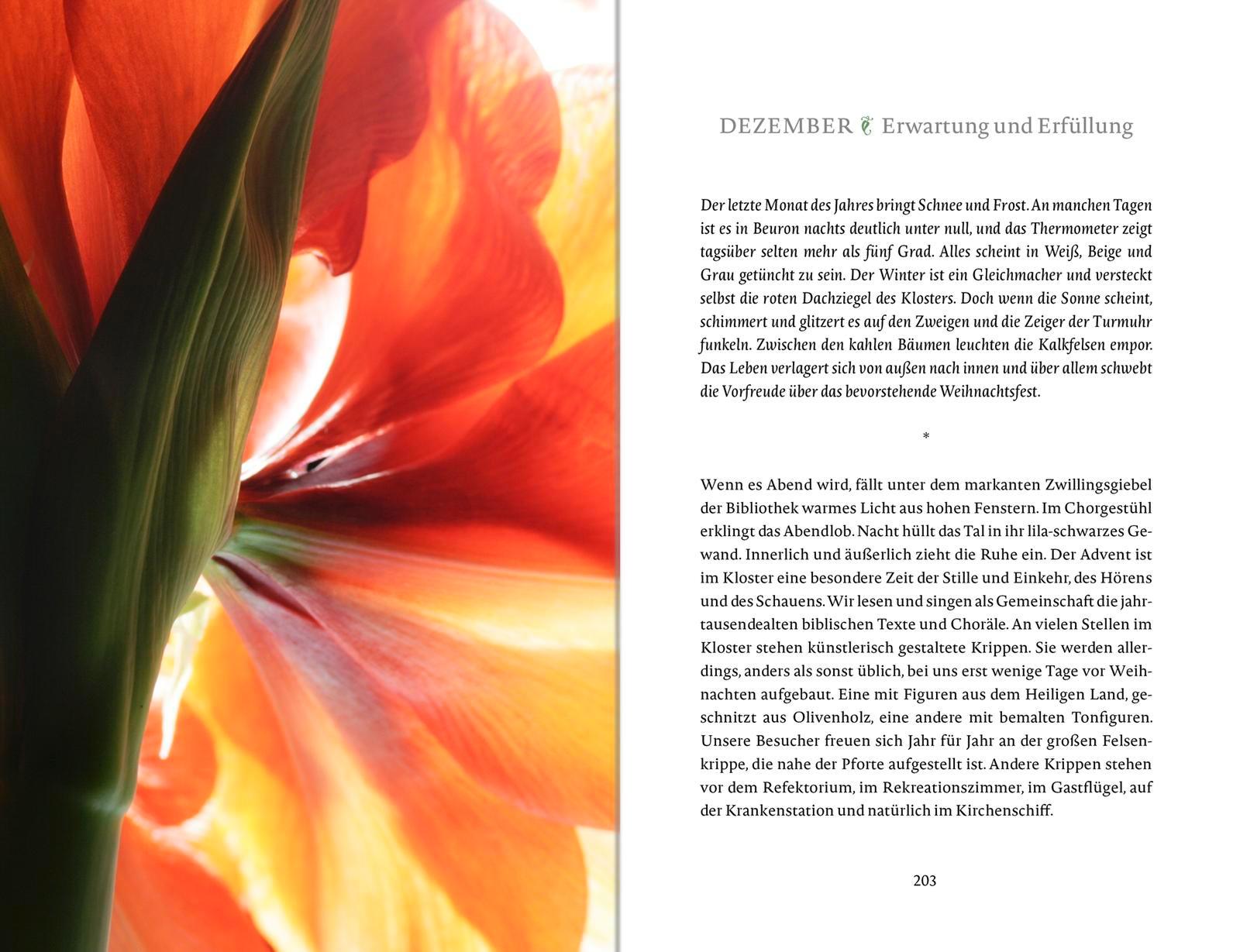 Beispielinhalt (Bild) Das Glück wächst im Garten