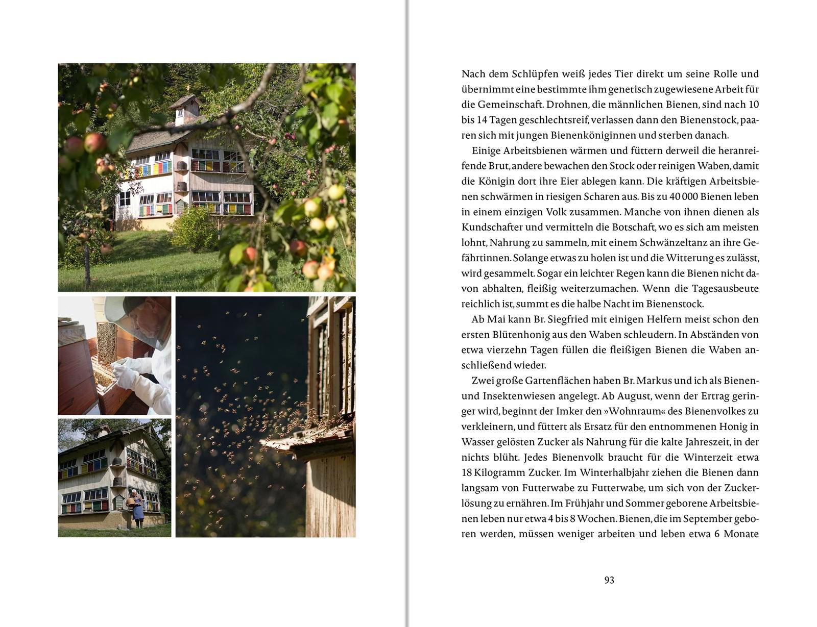 Beispielinhalt (Bild) Das Glück wächst im Garten