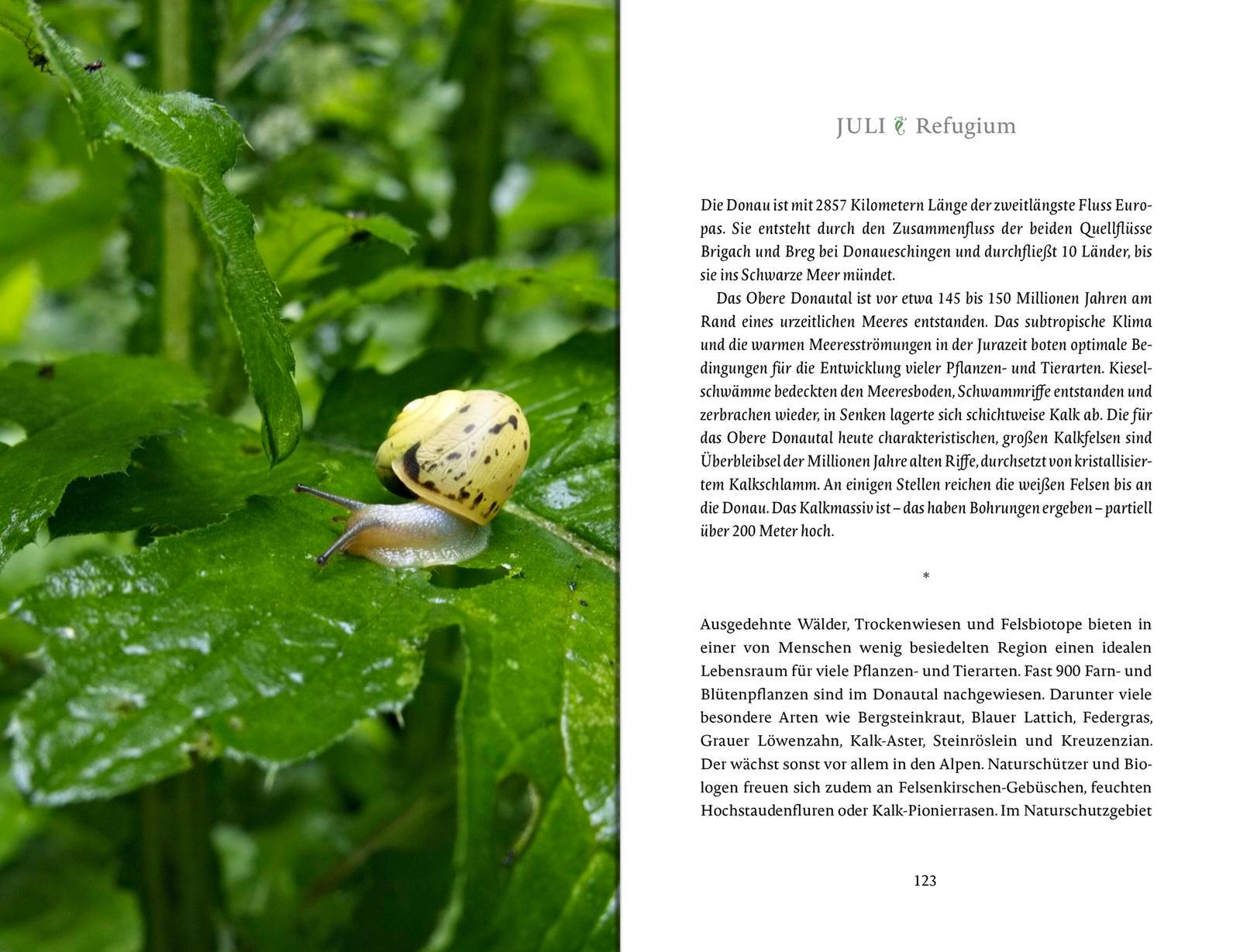 Beispielinhalt (Bild) Das Glück wächst im Garten