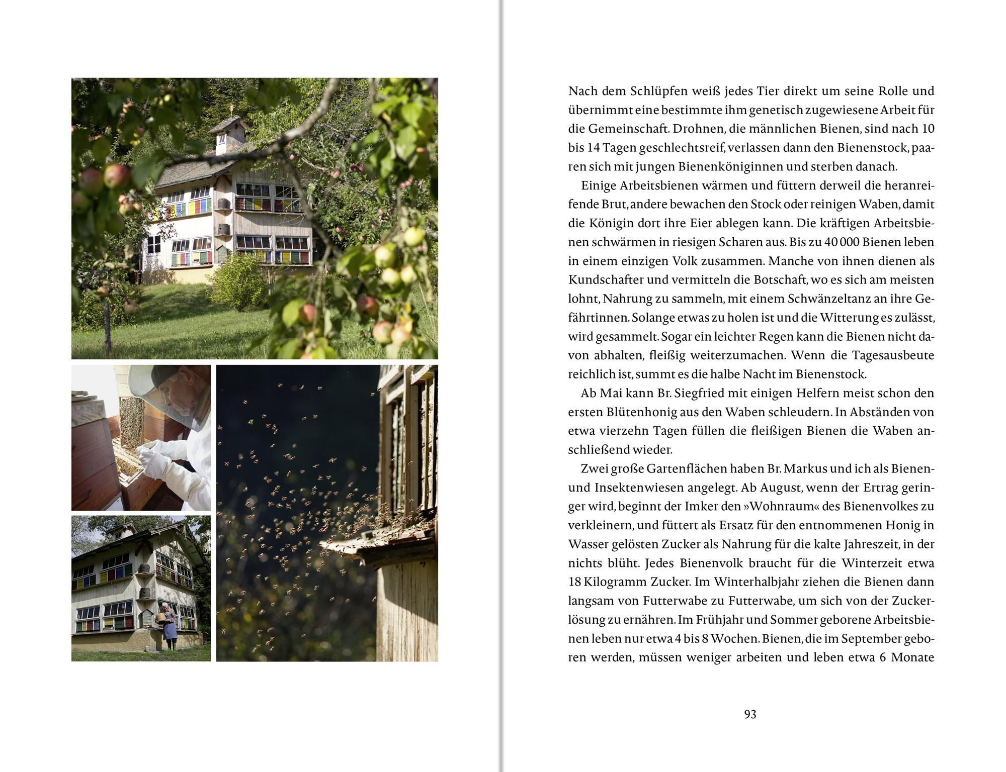 Beispielinhalt (Bild) Das Glück wächst im Garten