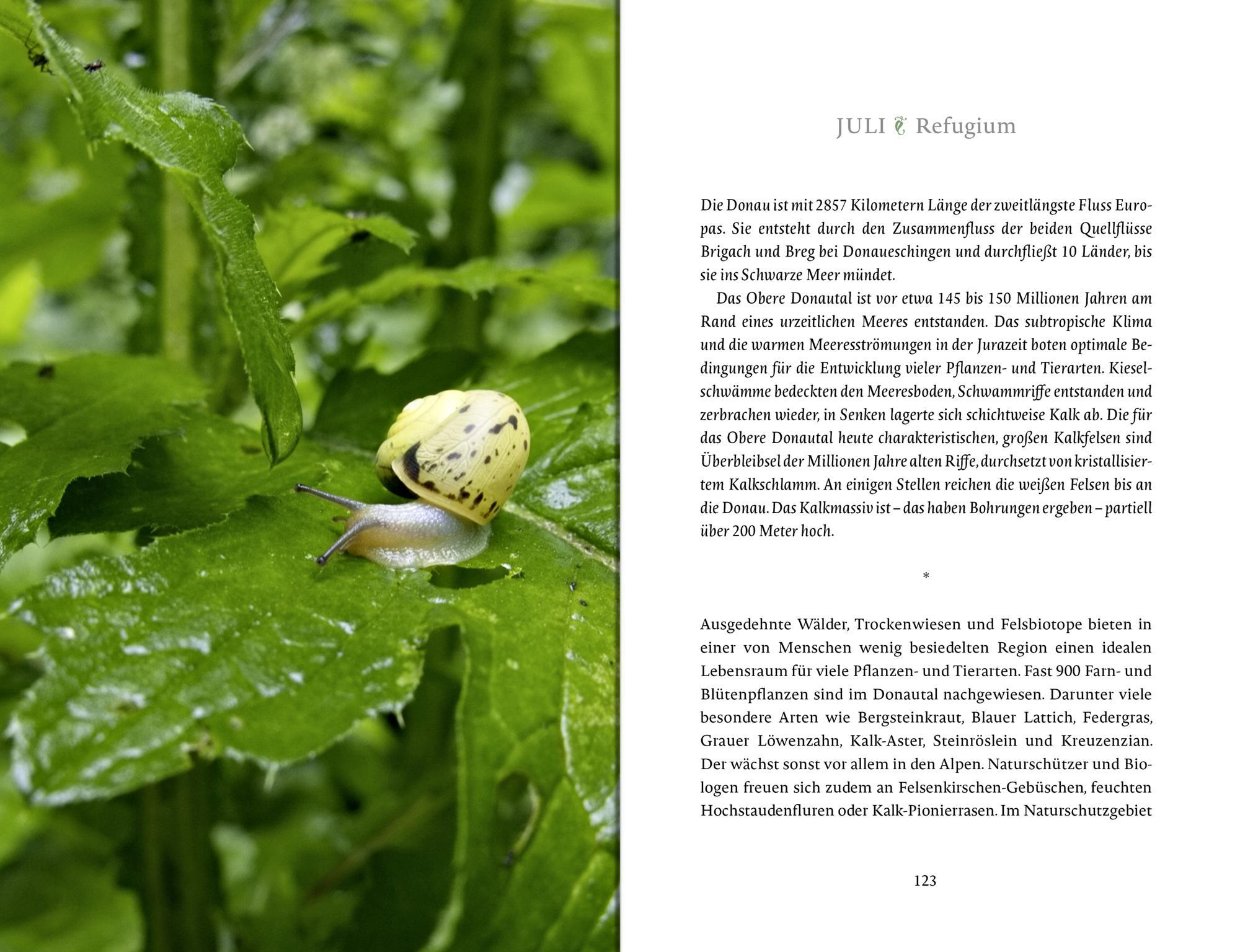 Beispielinhalt (Bild) Das Glück wächst im Garten