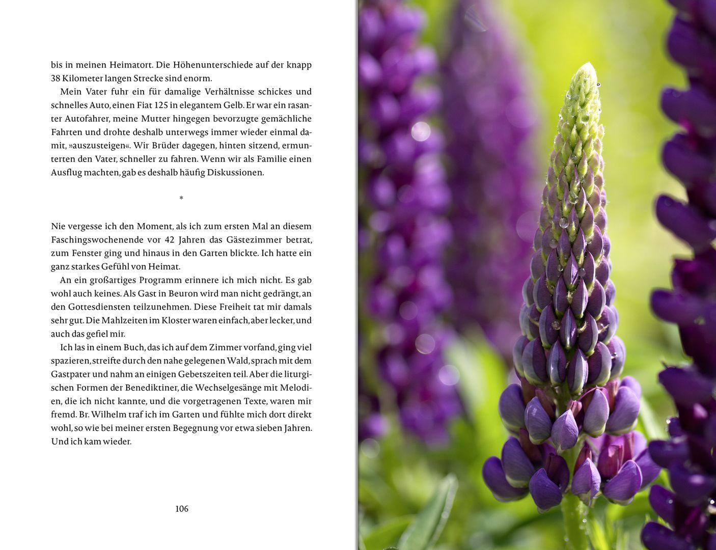 Beispielinhalt (Bild) Das Glück wächst im Garten