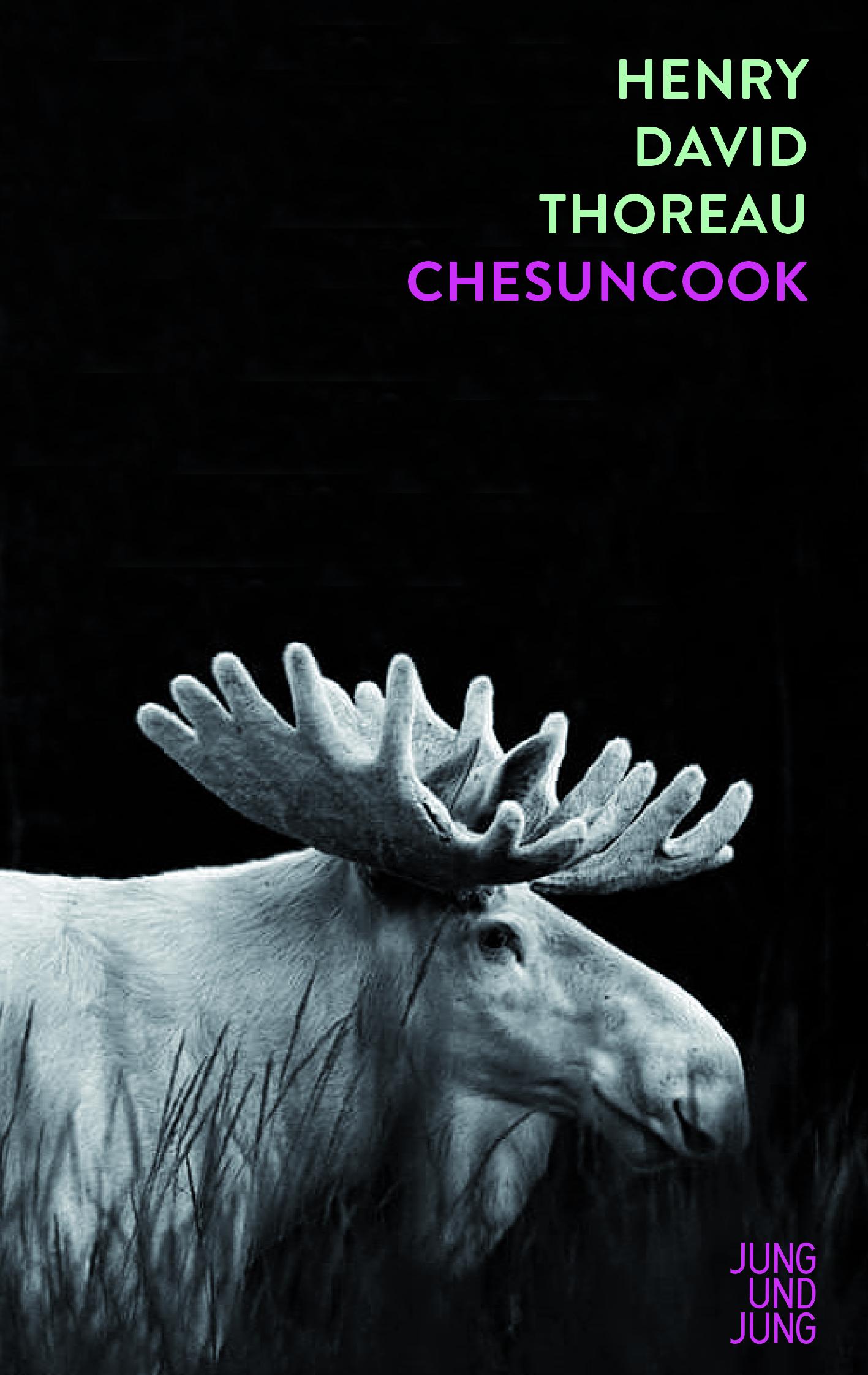 Vorderes Coverbild Chesuncook