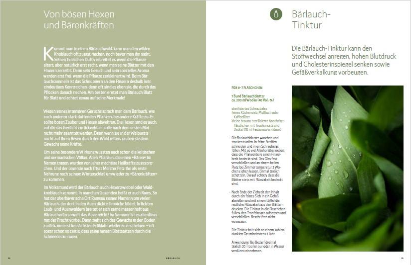 Beispielinhalt (Bild) Wildkräuter vor deiner Haustür - Silbermedaille GAD 2022 - Deutscher Kochbuchpreis (bronze)