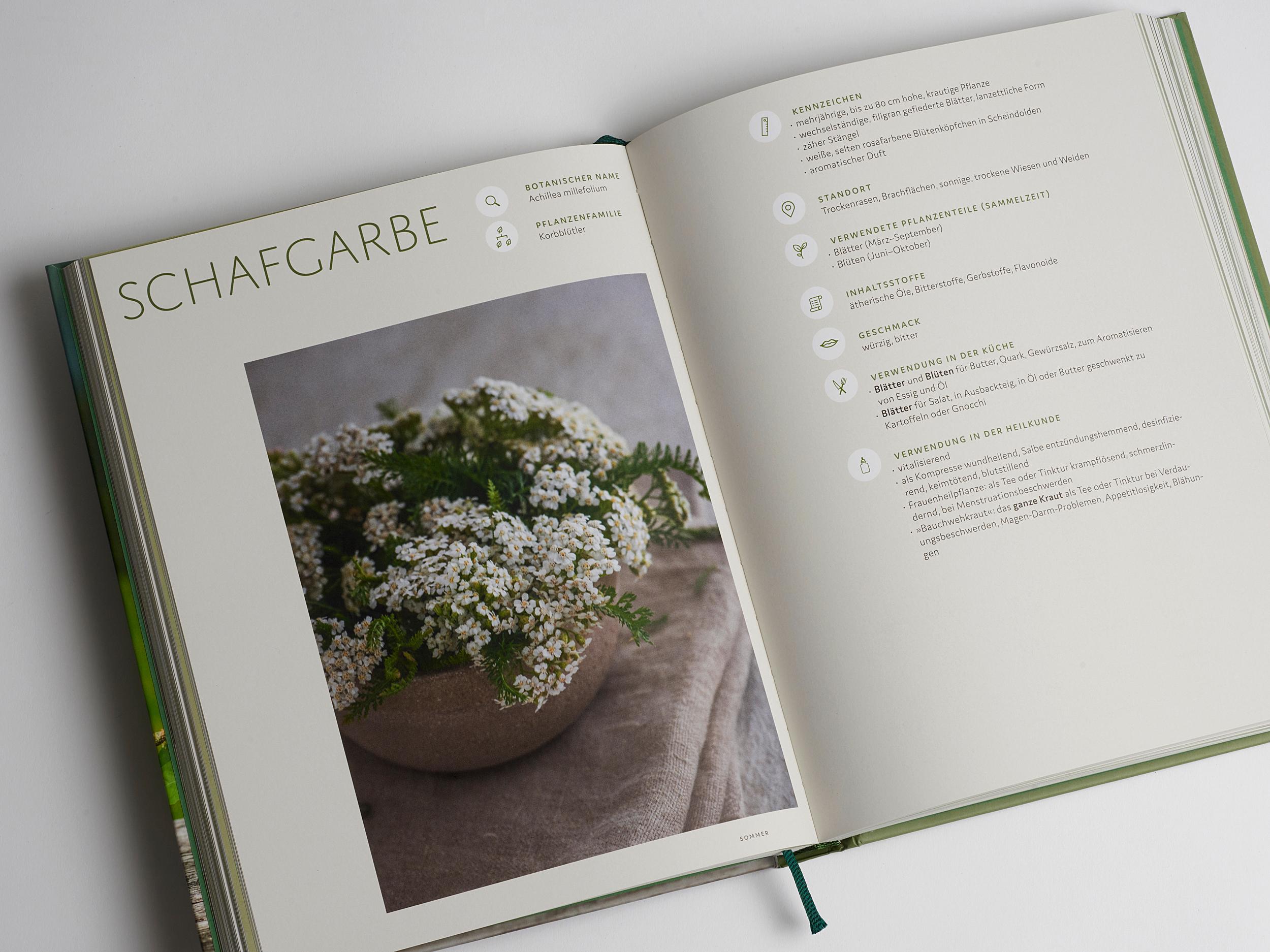 Beispielinhalt (Bild) Wildkräuter vor deiner Haustür - Silbermedaille GAD 2022 - Deutscher Kochbuchpreis (bronze)