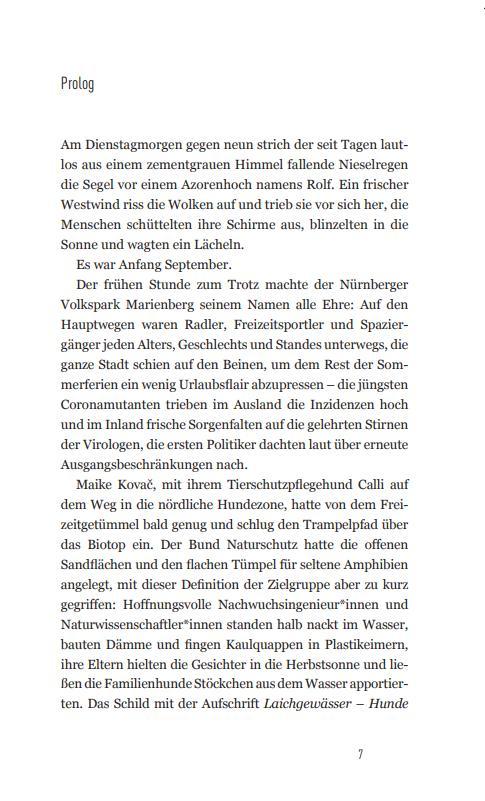 Beispielinhalt (Bild) Fränkischer Döner