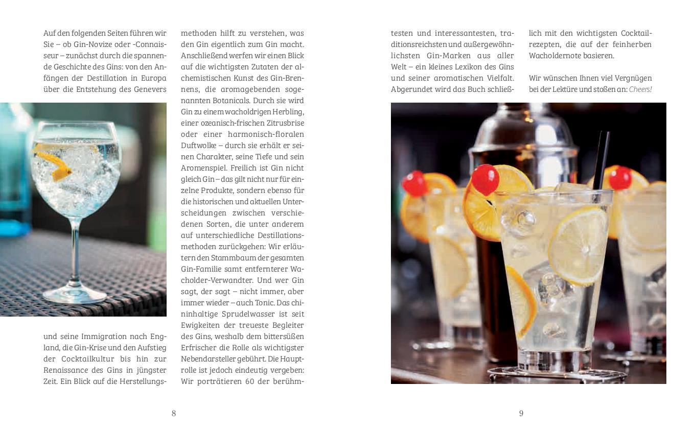 Beispielinhalt (Bild) Gin