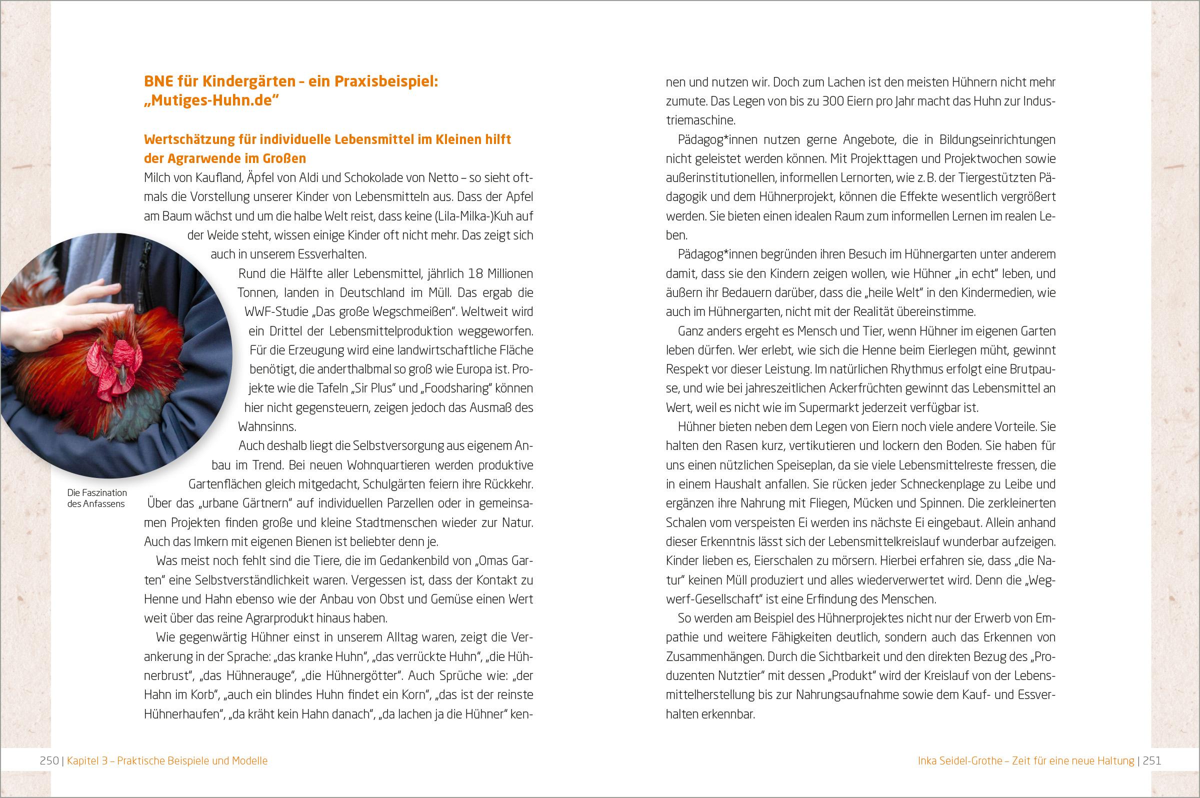 Beispielinhalt (Bild) BNE in der Kita