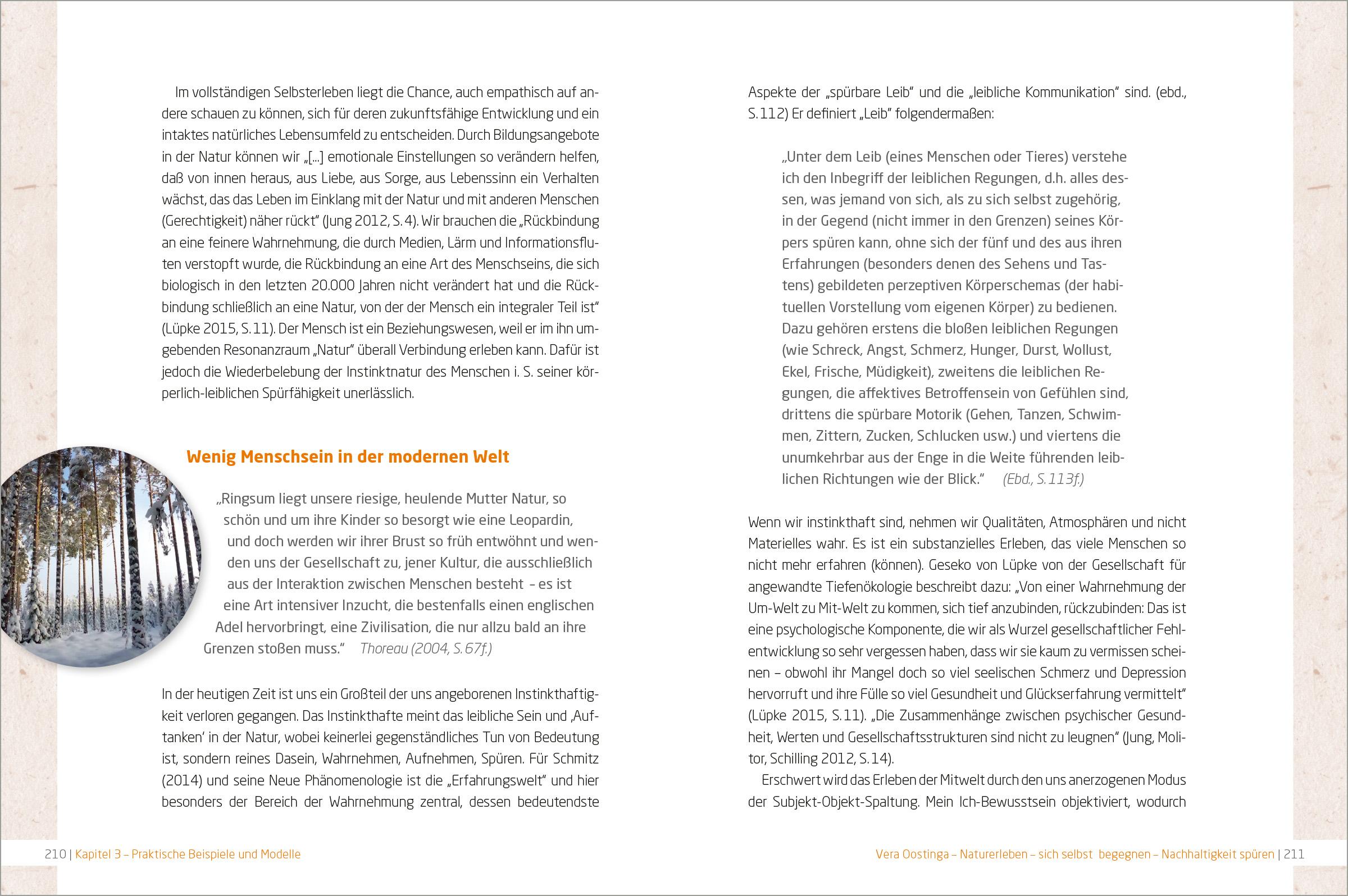 Beispielinhalt (Bild) BNE in der Kita