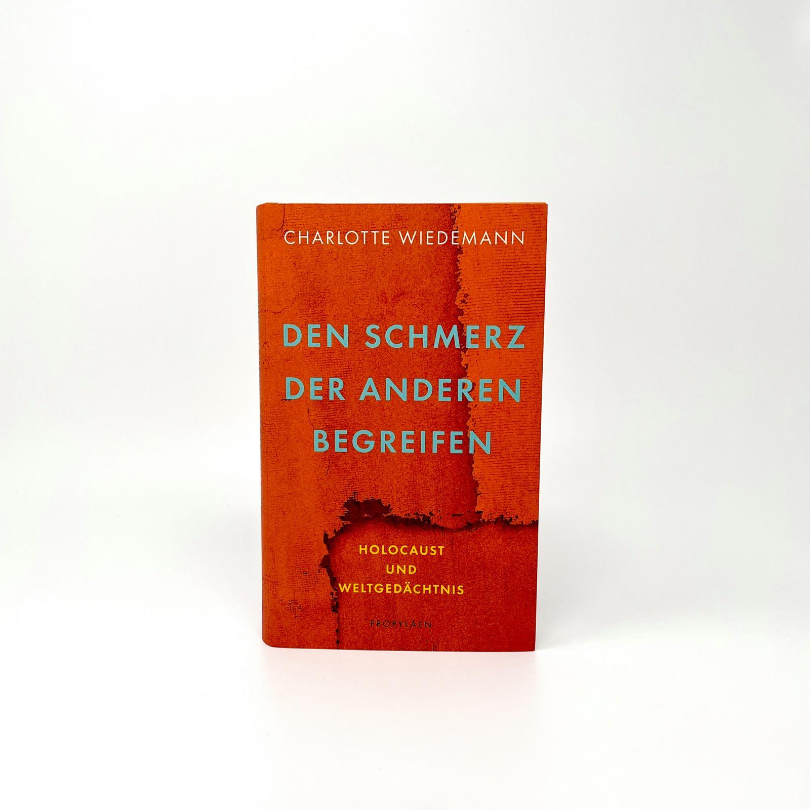 Beispielinhalt (Bild) Den Schmerz der Anderen begreifen