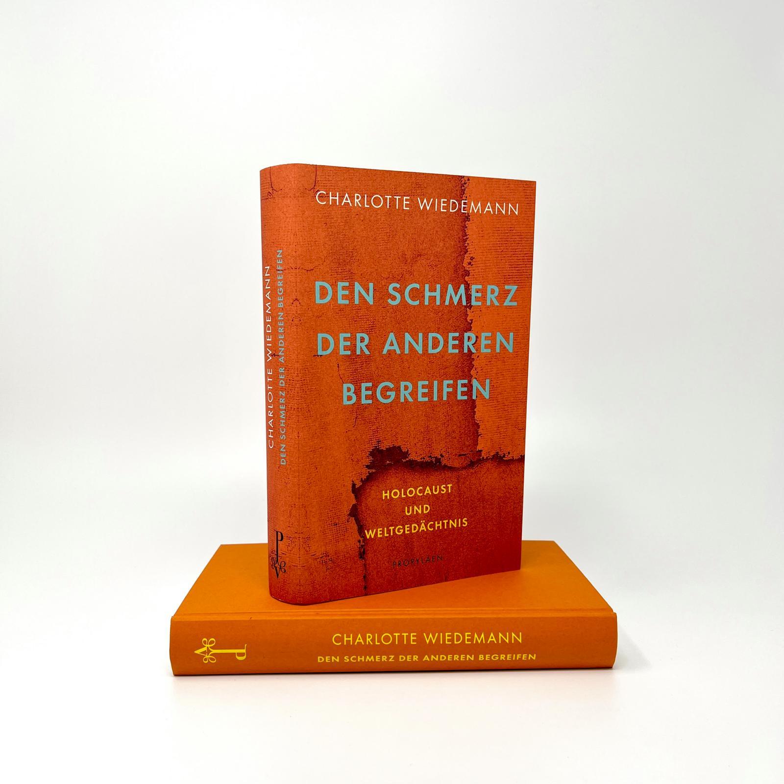 Beispielinhalt (Bild) Den Schmerz der Anderen begreifen