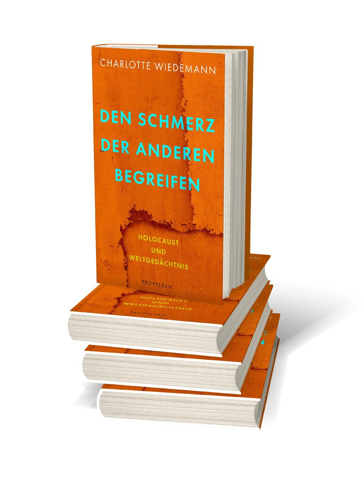 Beispielinhalt (Bild) Den Schmerz der Anderen begreifen