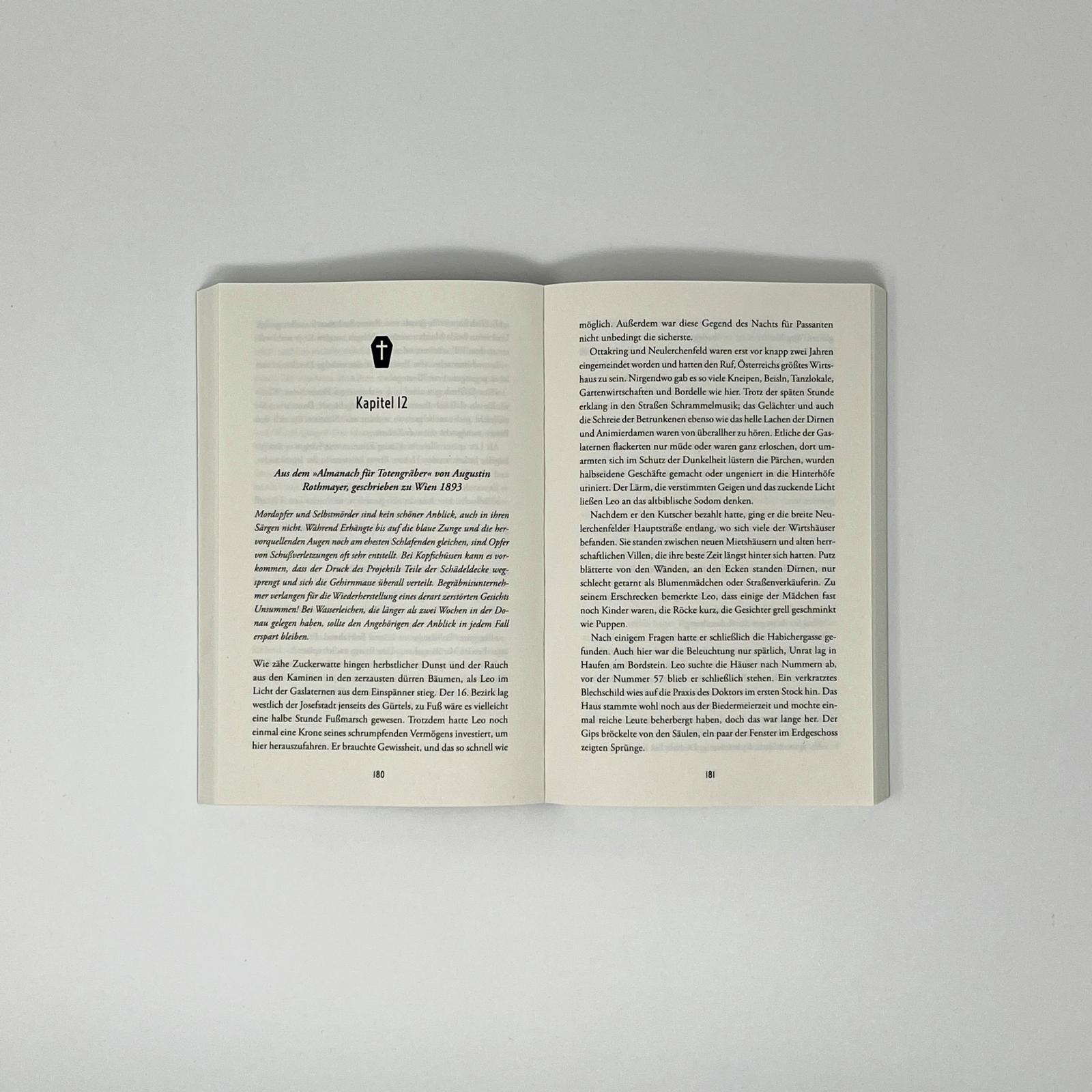 Beispielinhalt (Bild) Das Buch des Totengräbers