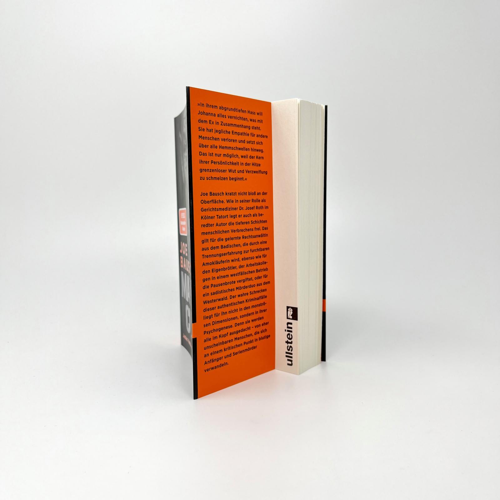 Beispielinhalt (Bild) Maxima Culpa