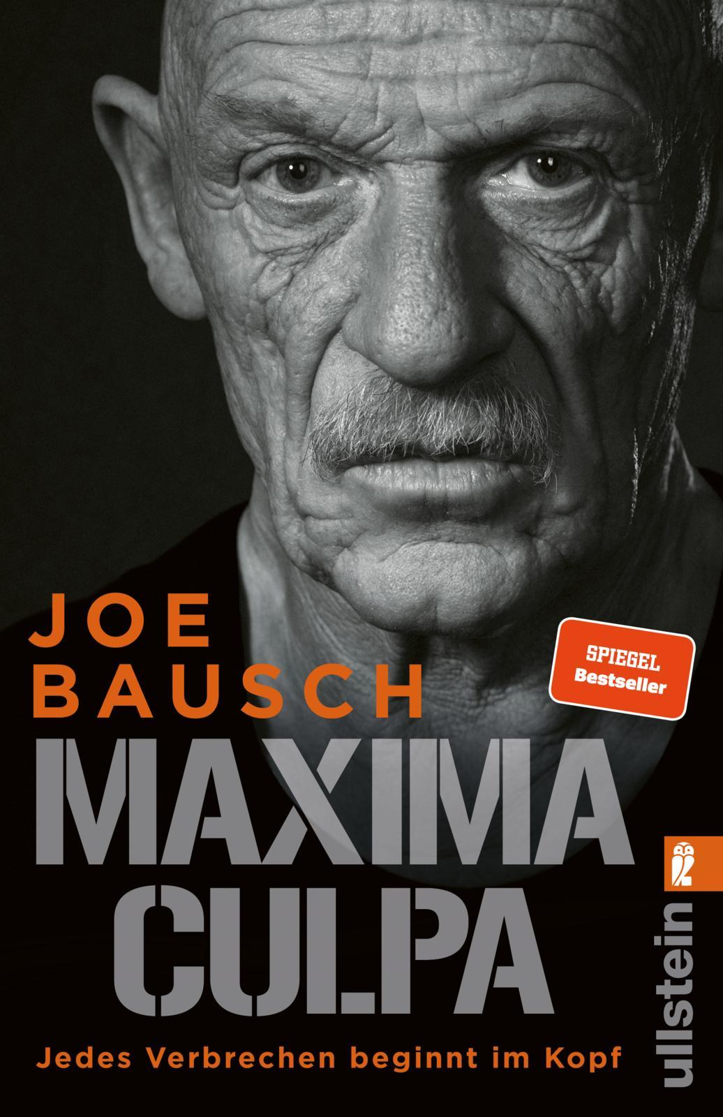 Vorderes Coverbild Maxima Culpa
