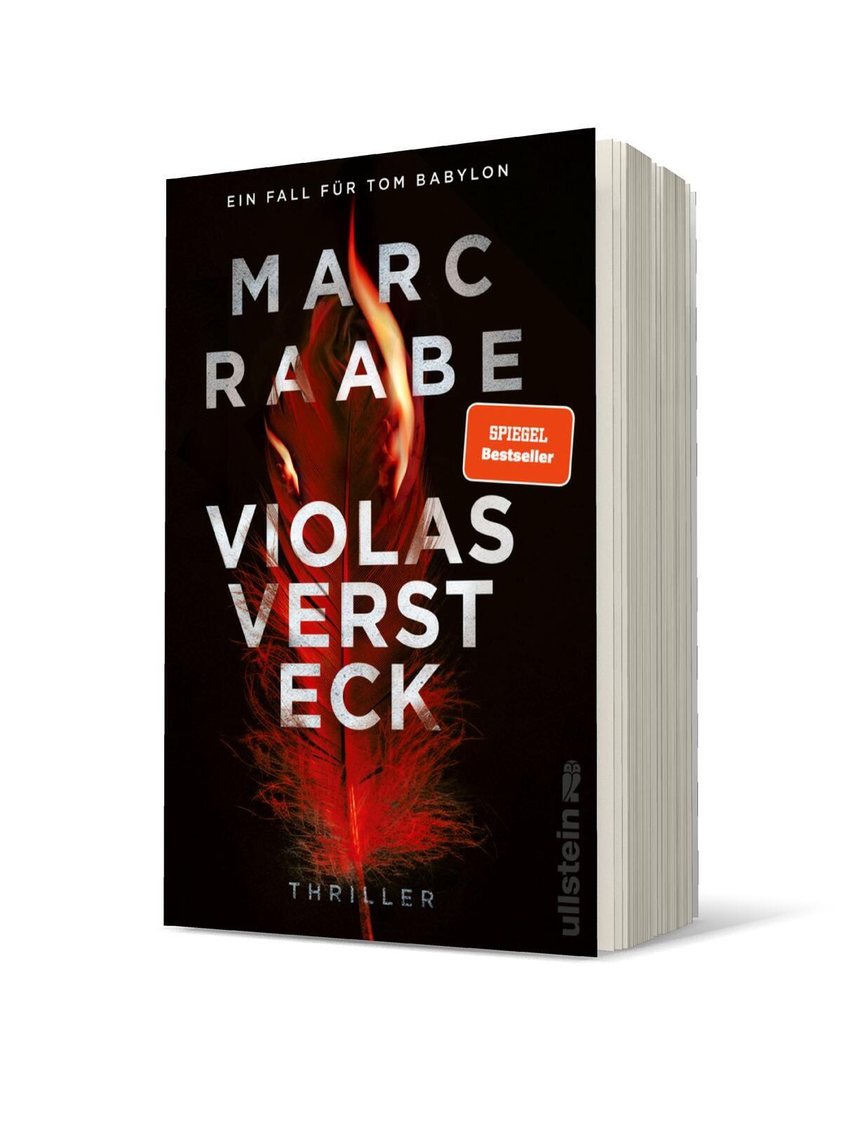 Vorderes Coverbild Violas Versteck