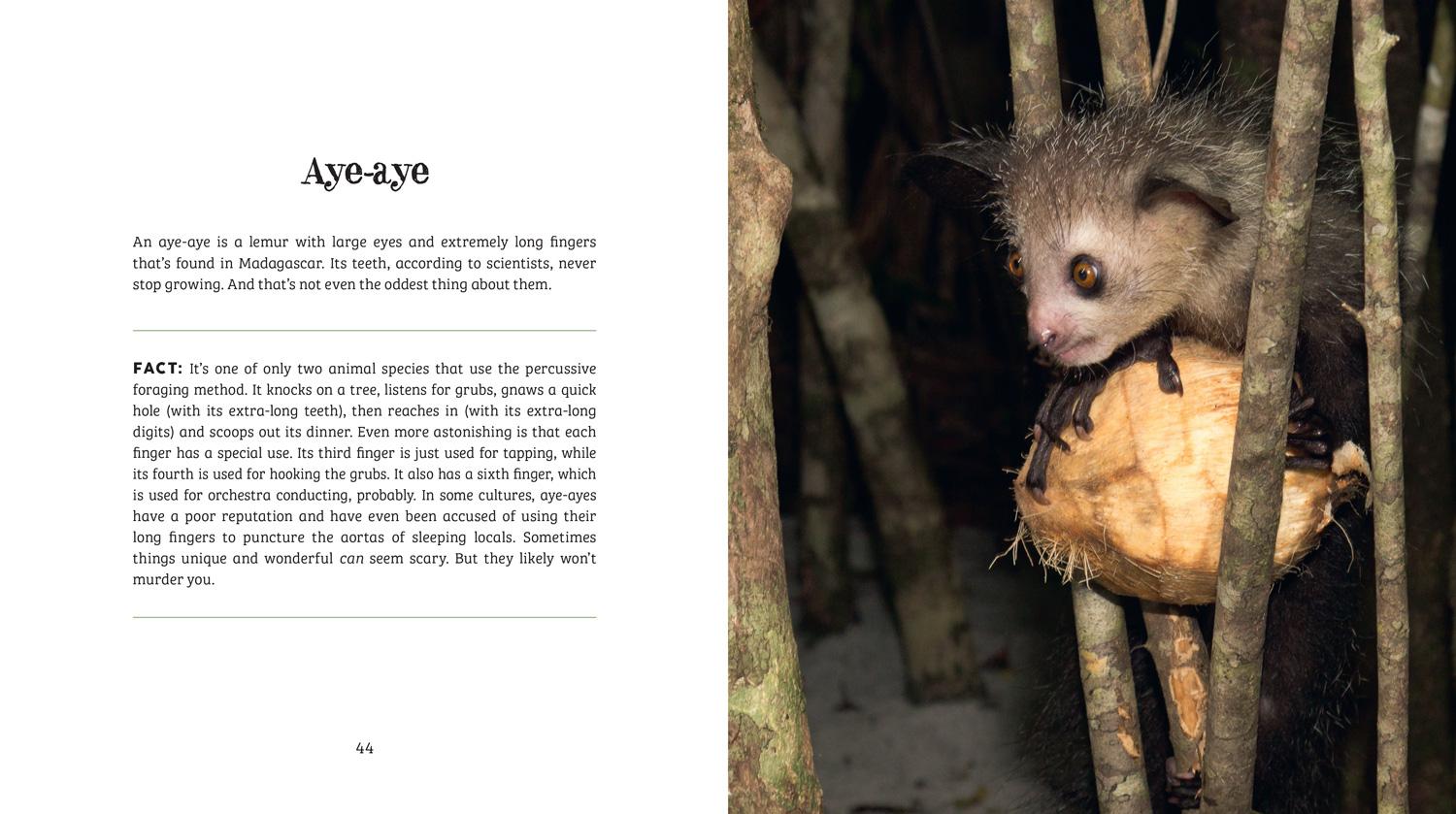 Beispielinhalt (Bild) Ugly-Cute