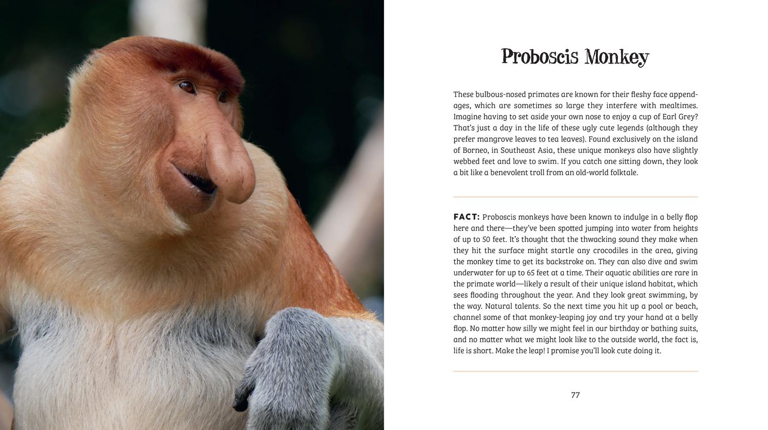 Beispielinhalt (Bild) Ugly-Cute