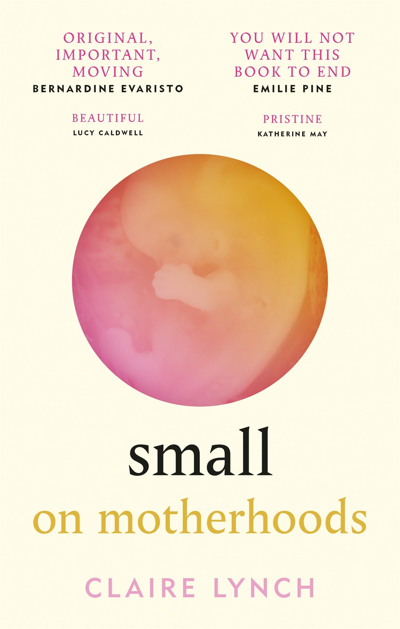 Vorderes Coverbild Small: On Motherhoods