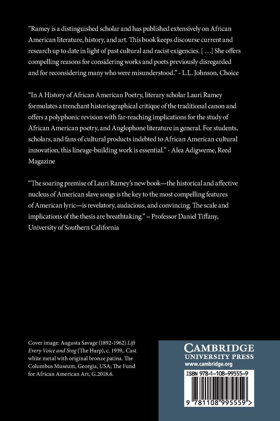 Rückseitencover A History of African American Poetry