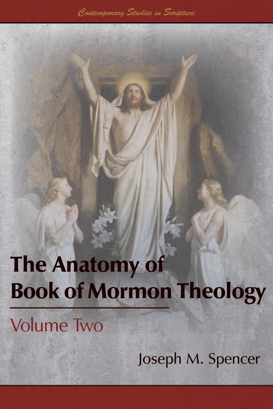 Vorderes Coverbild The Anatomy of Book of Mormon Theology