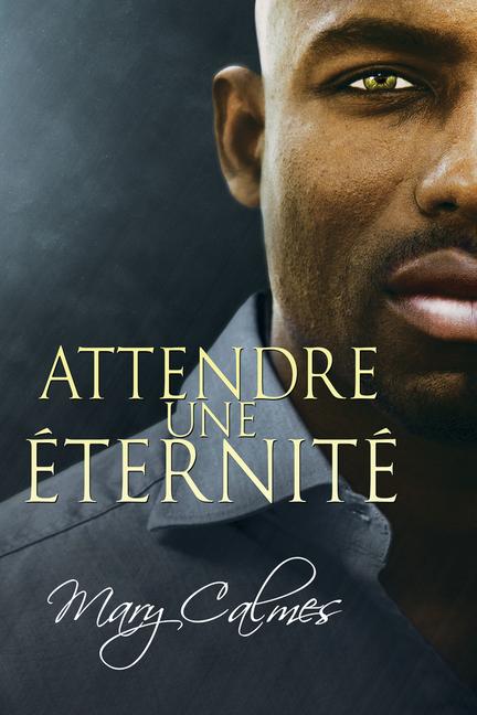 Vorderes Coverbild Attendre Une Éternité