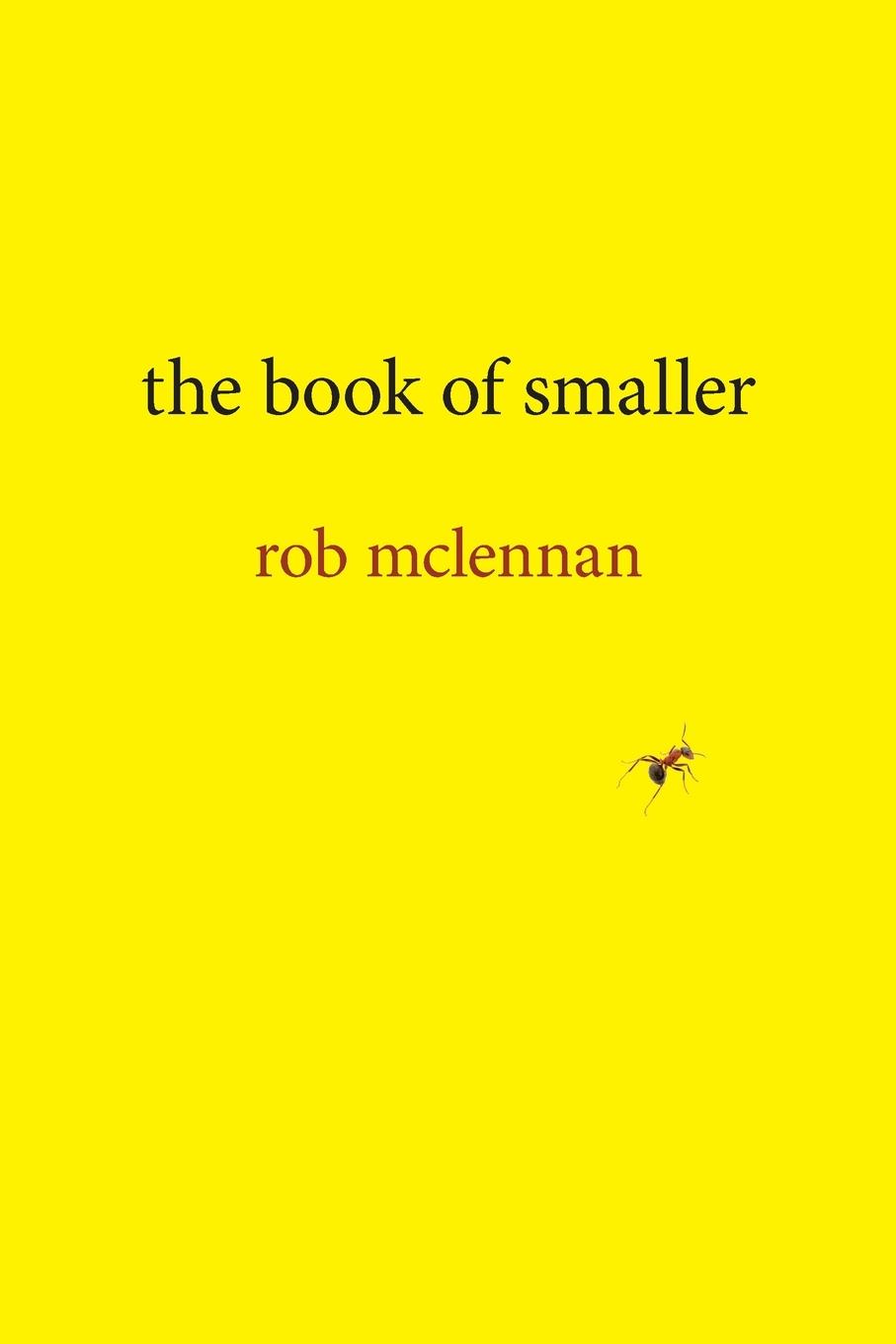 Vorderes Coverbild Book of Smaller