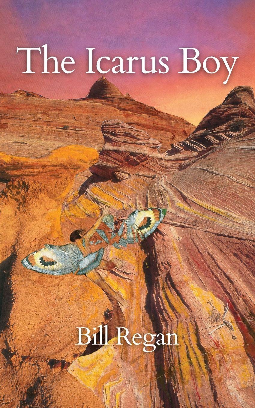 Vorderes Coverbild The Icarus Boy