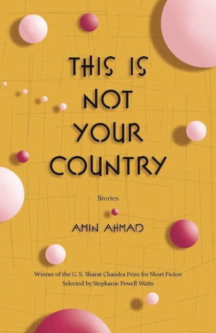 Vorderes Coverbild This Is Not Your Country: Stories