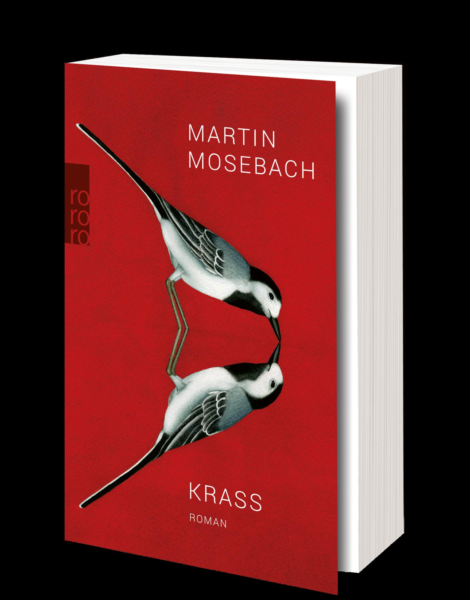 Beispielinhalt (Bild) Krass