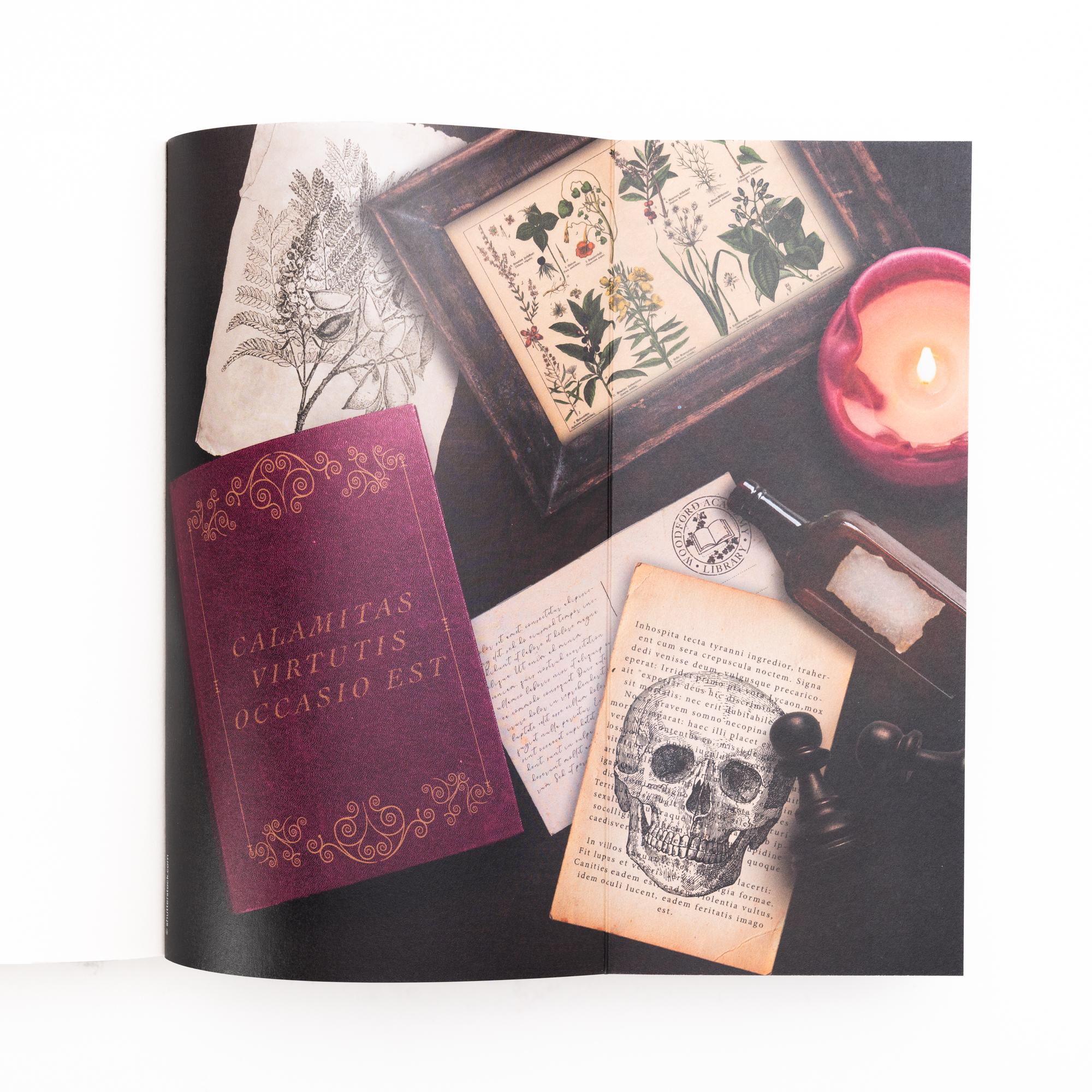 Beispielinhalt (Bild) Dark Ivy - Halt mich fest