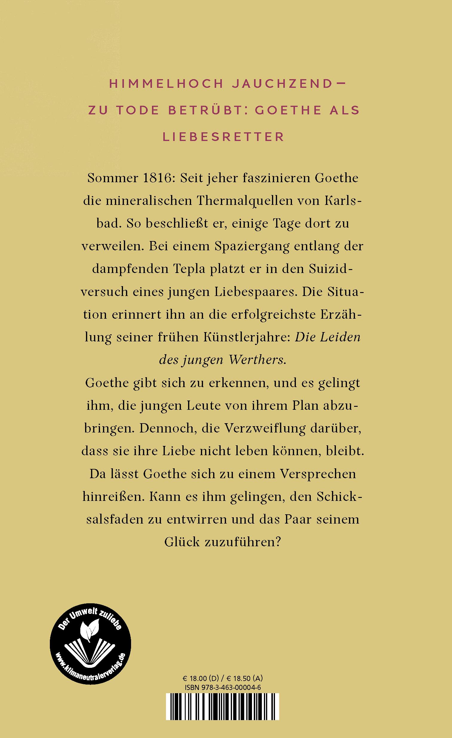 Rückseitencover Goethe in Karlsbad