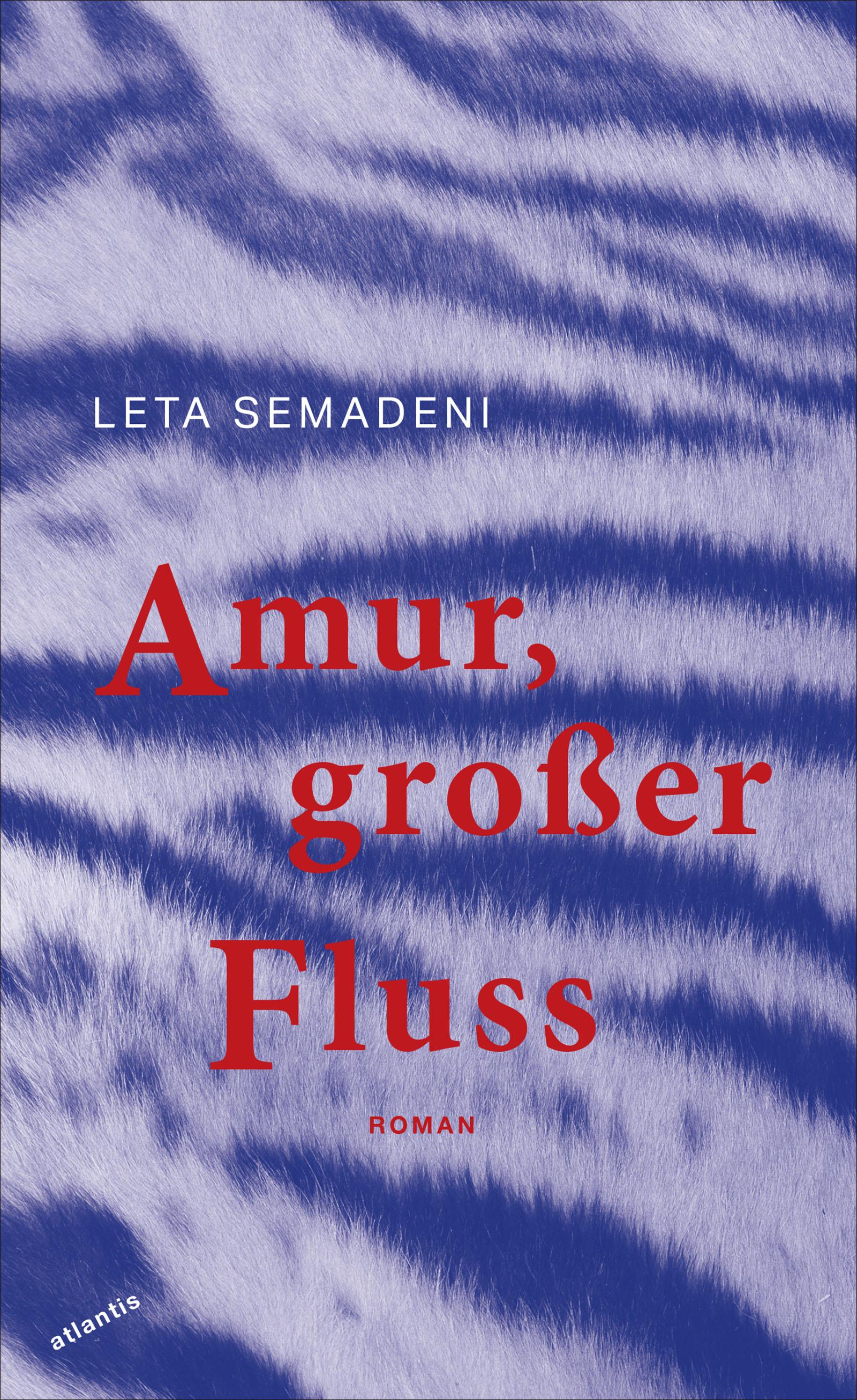 Vorderes Coverbild Amur, großer Fluss