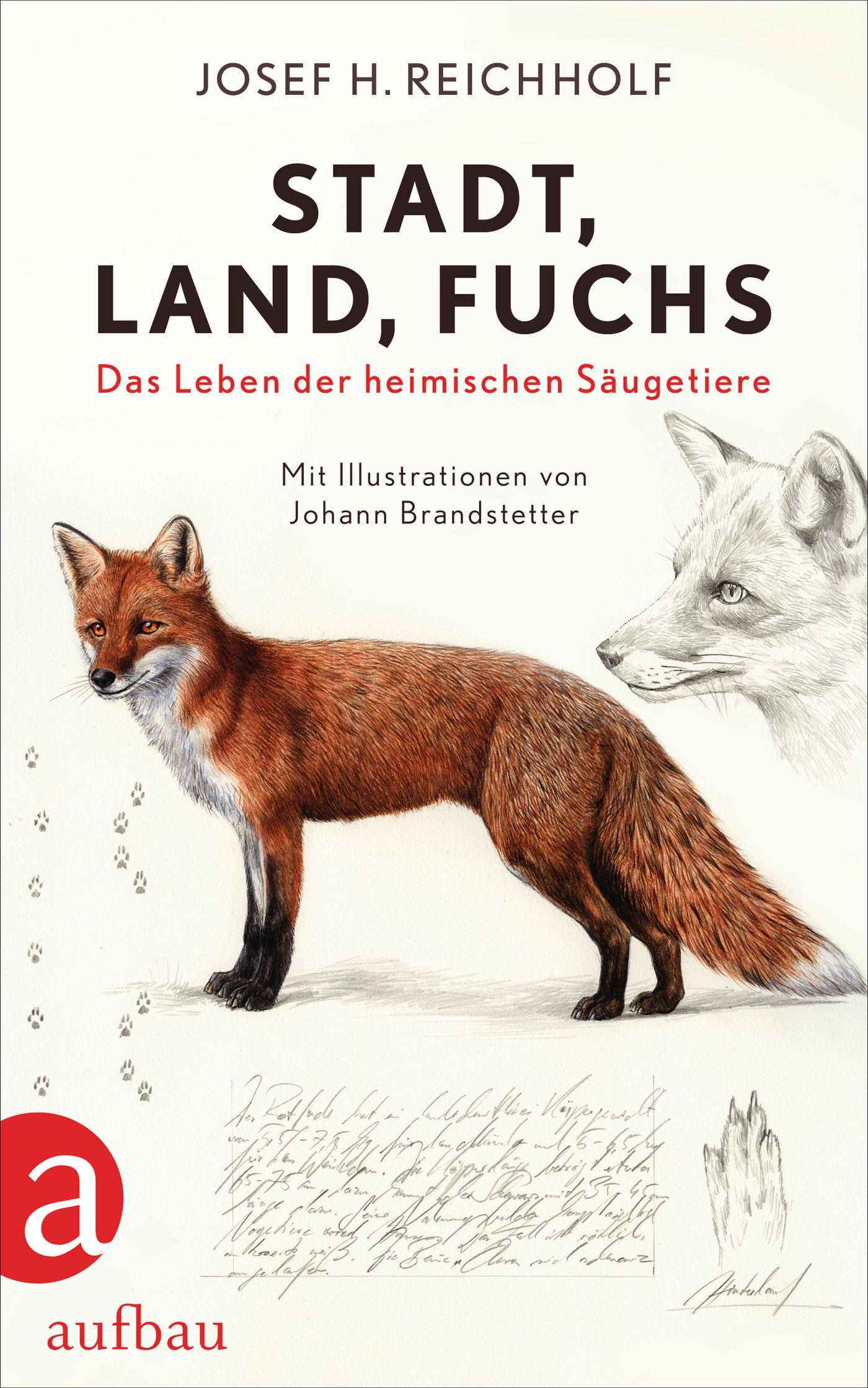 Vorderes Coverbild Stadt, Land, Fuchs