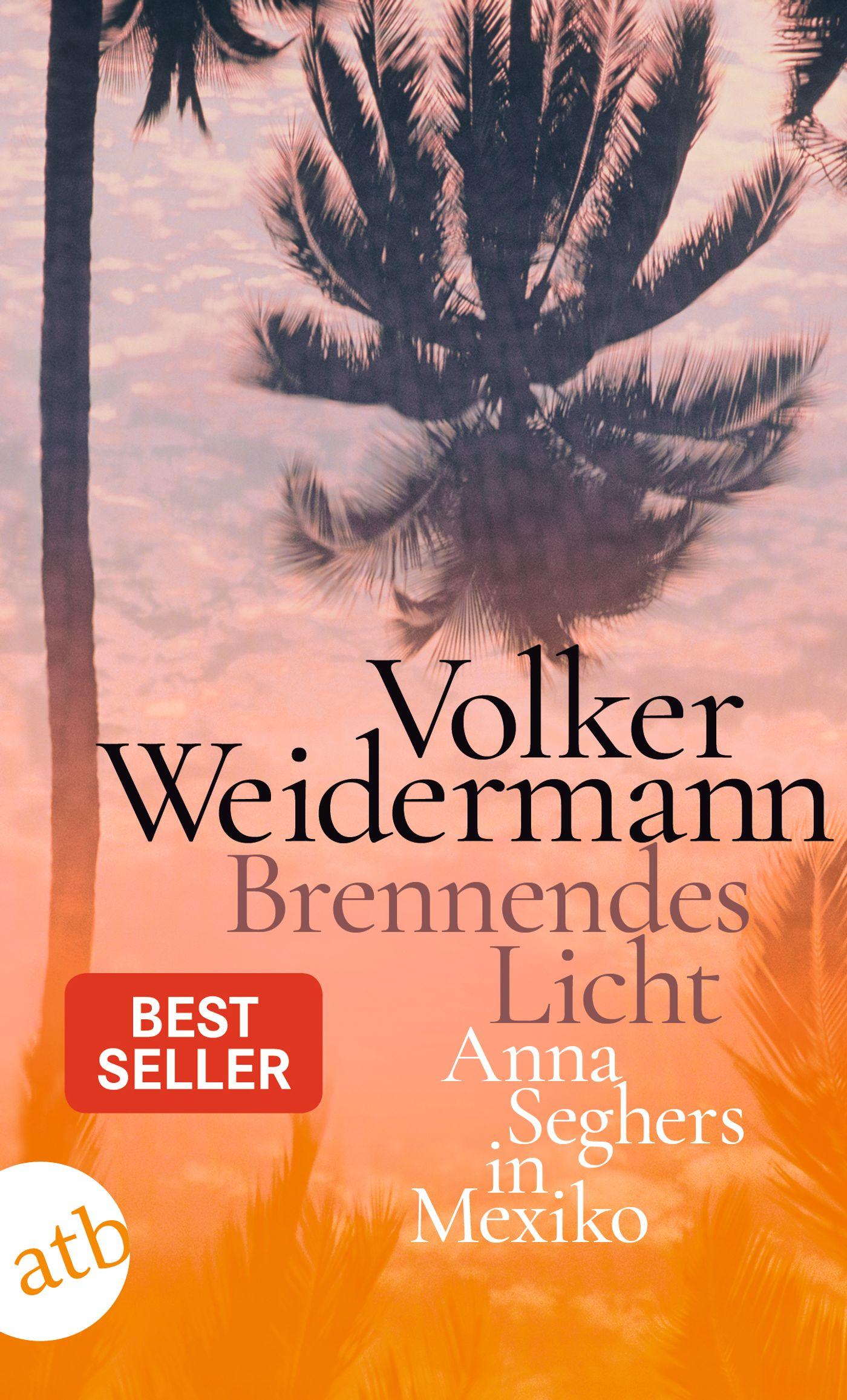 Vorderes Coverbild Brennendes Licht