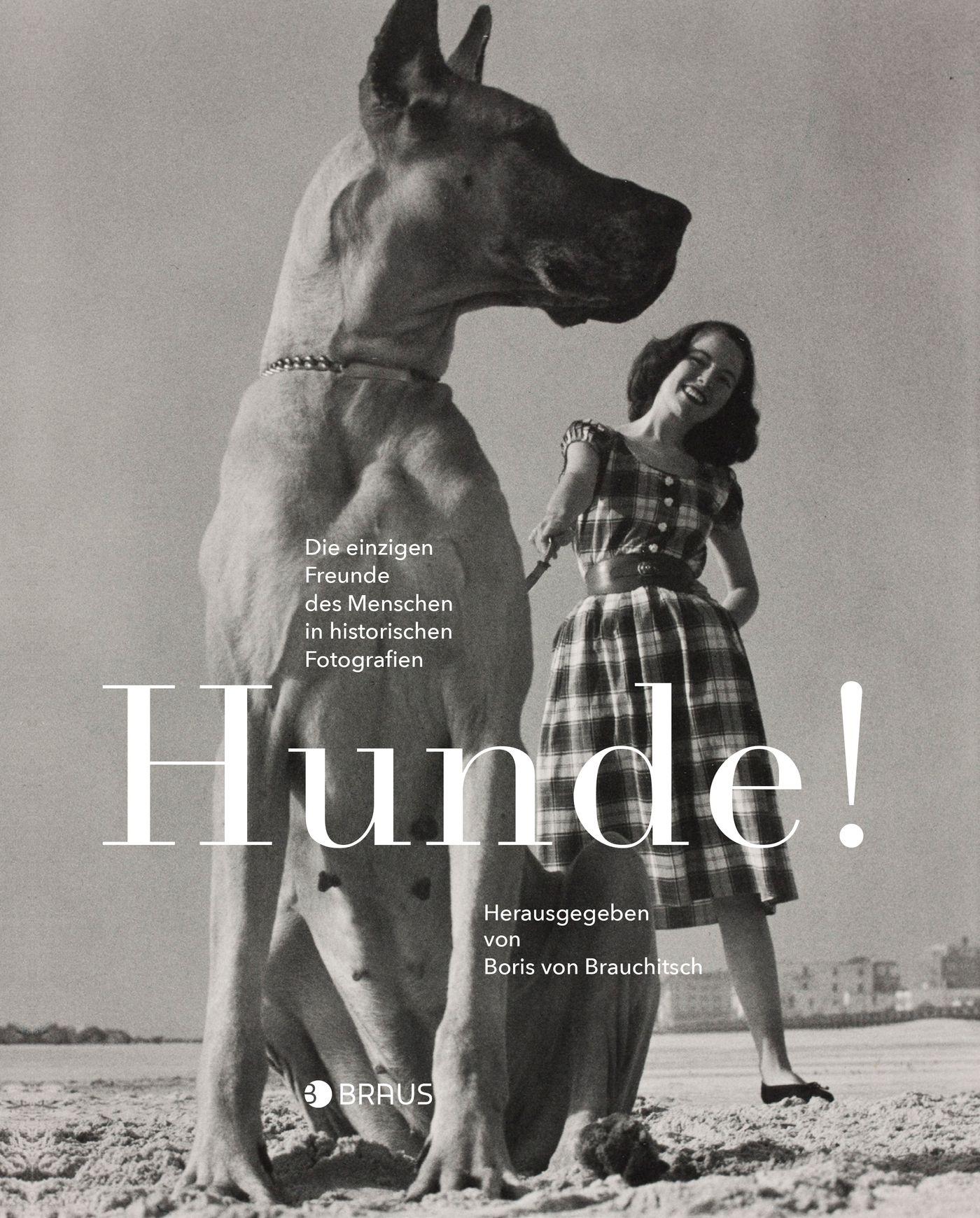 Vorderes Coverbild Hunde!