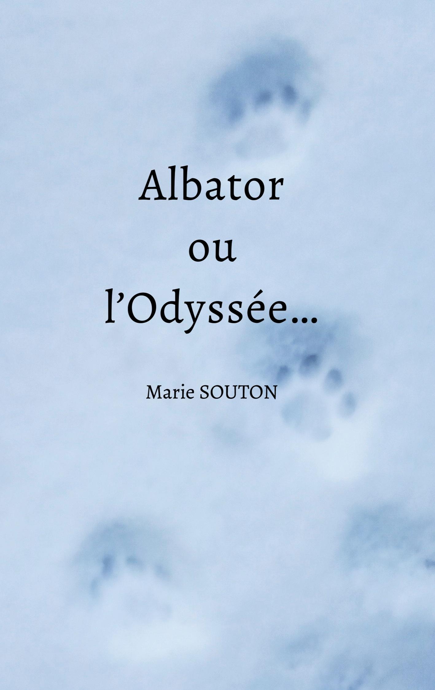 Vorderes Coverbild Albator ou l'Odyssée...