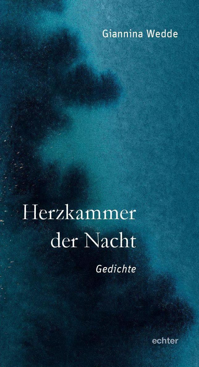Vorderes Coverbild Herzkammer der Nacht