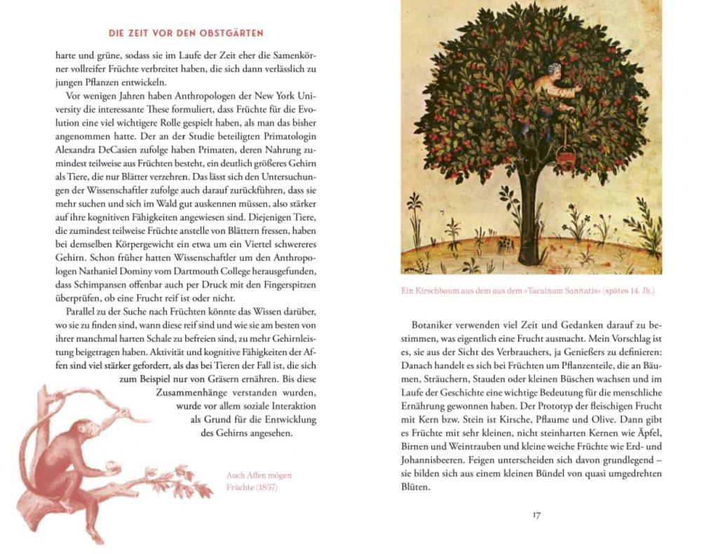 Beispielinhalt (Bild) Von der Kunst, die Früchte zu zähmen