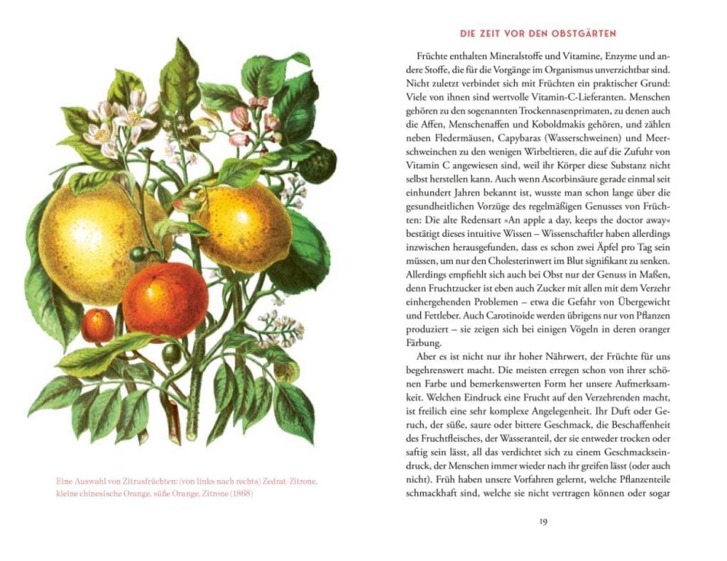 Beispielinhalt (Bild) Von der Kunst, die Früchte zu zähmen