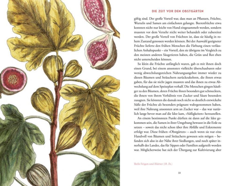 Beispielinhalt (Bild) Von der Kunst, die Früchte zu zähmen